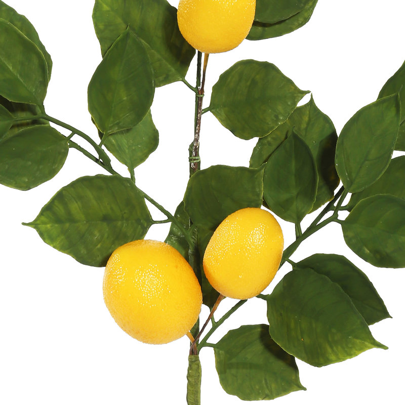 August Grove® 60'' in. Faux Lemon Garland & Reviews Wayfair